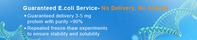 bacterial-protein-guarantee