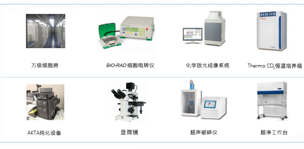 蛋白表达技术平台设施