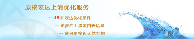 上清表达优化服务