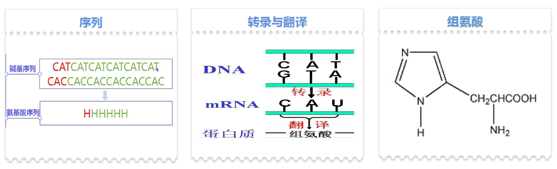 南京德泰生物
