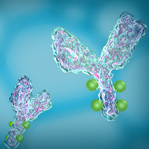 recombinant-antibody