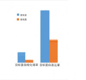 图片15