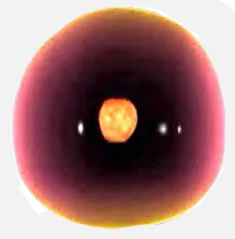 celllin