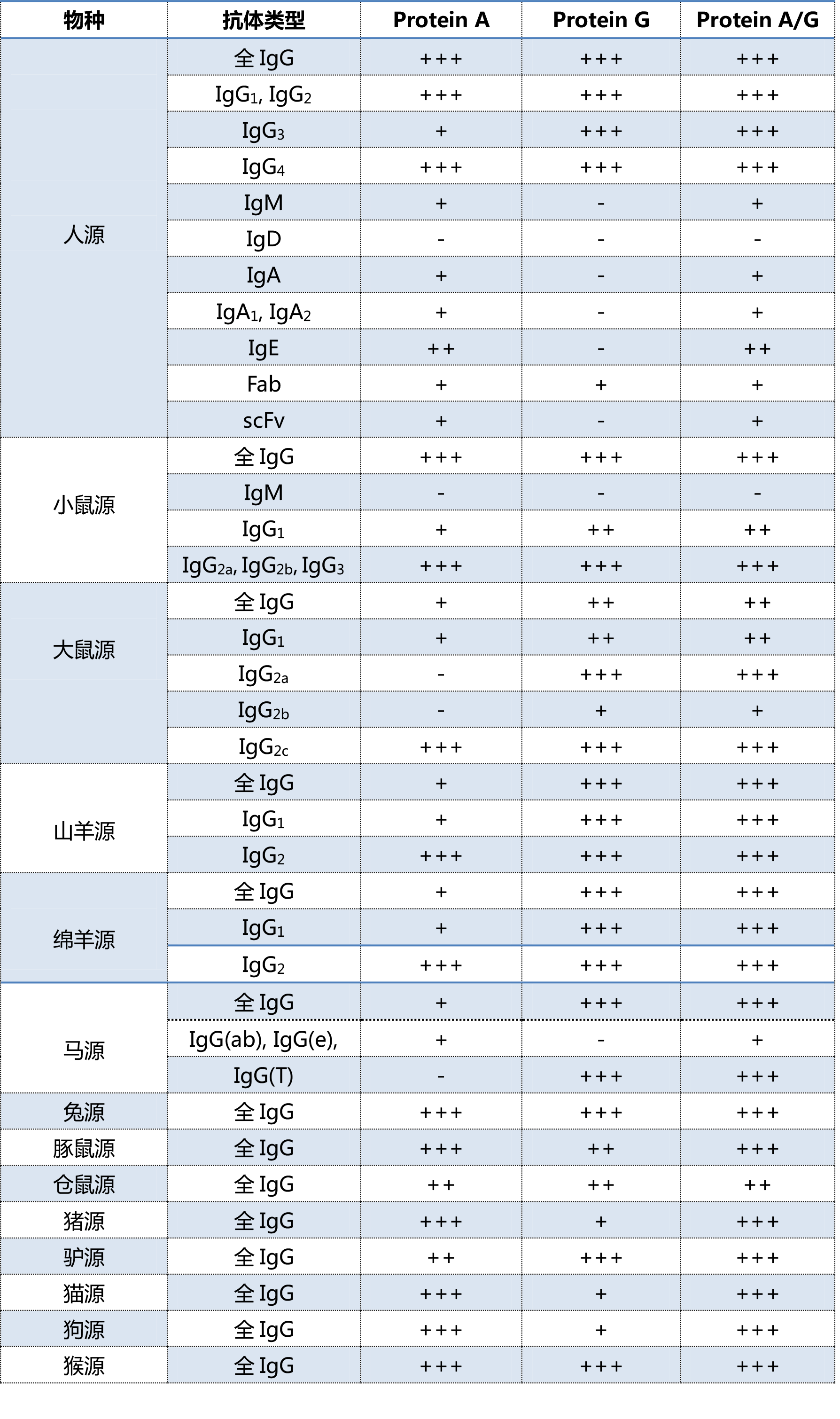 Protein A，Protein G，Protein A/G结合特性