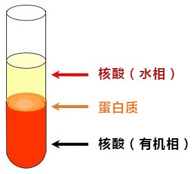 苯酚