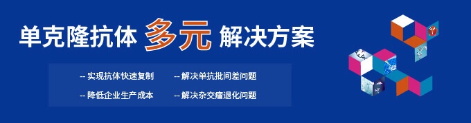 单克隆抗体多元解决方案