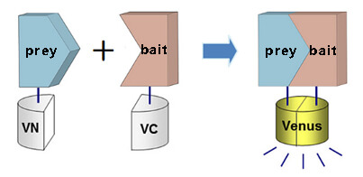 BiTC技术原理